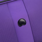 Sky Max 2.0 Softside Expandable Luggage with Spinner Wheels, Purple, Carry-on 21 Inch,40328280508