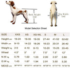 FBJYX Dog Wheelchair, Hind Legs Rehabilitation Disabled Dog Assisted Walk Two Wheels Adjustable Pet Wheelchair for  Cats Small Dogs Pomeranian Chihuahua,S