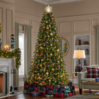 9 ft Windsor Fraser Fir LED Christmas Tree