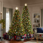 9 ft Windsor Fraser Fir LED Christmas Tree