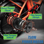Rattan 48V 750W Electric Bike for Adults 4.0 Fat Tire Bikes Folding Bikes 13AH Removable Lithium-ion Battery E-Bikes  7-Speed Shifter Electric Bicycle High Step Across ebikes