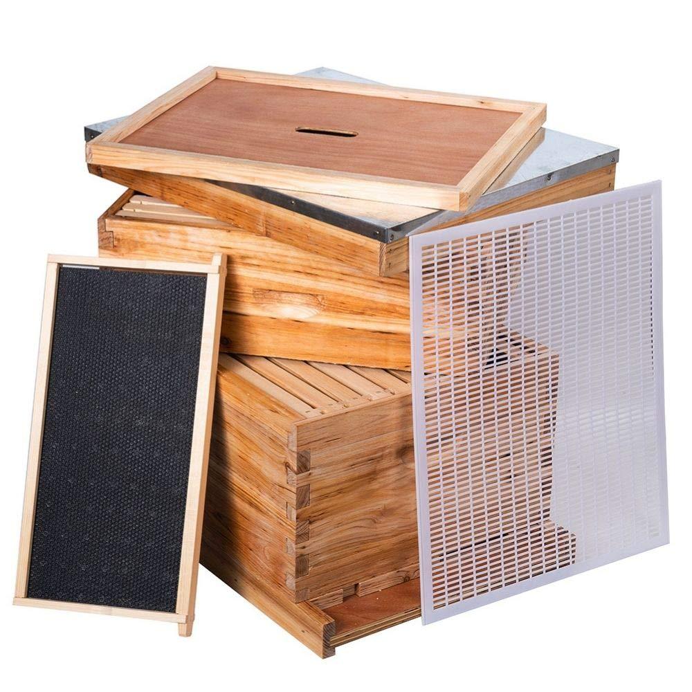 beehive 8 frame bee hives and supplies starter kit, bee hive for beginner, honey bee hives includes 1 deep bee boxes, 1 bee hive super with beehive frames and foundation