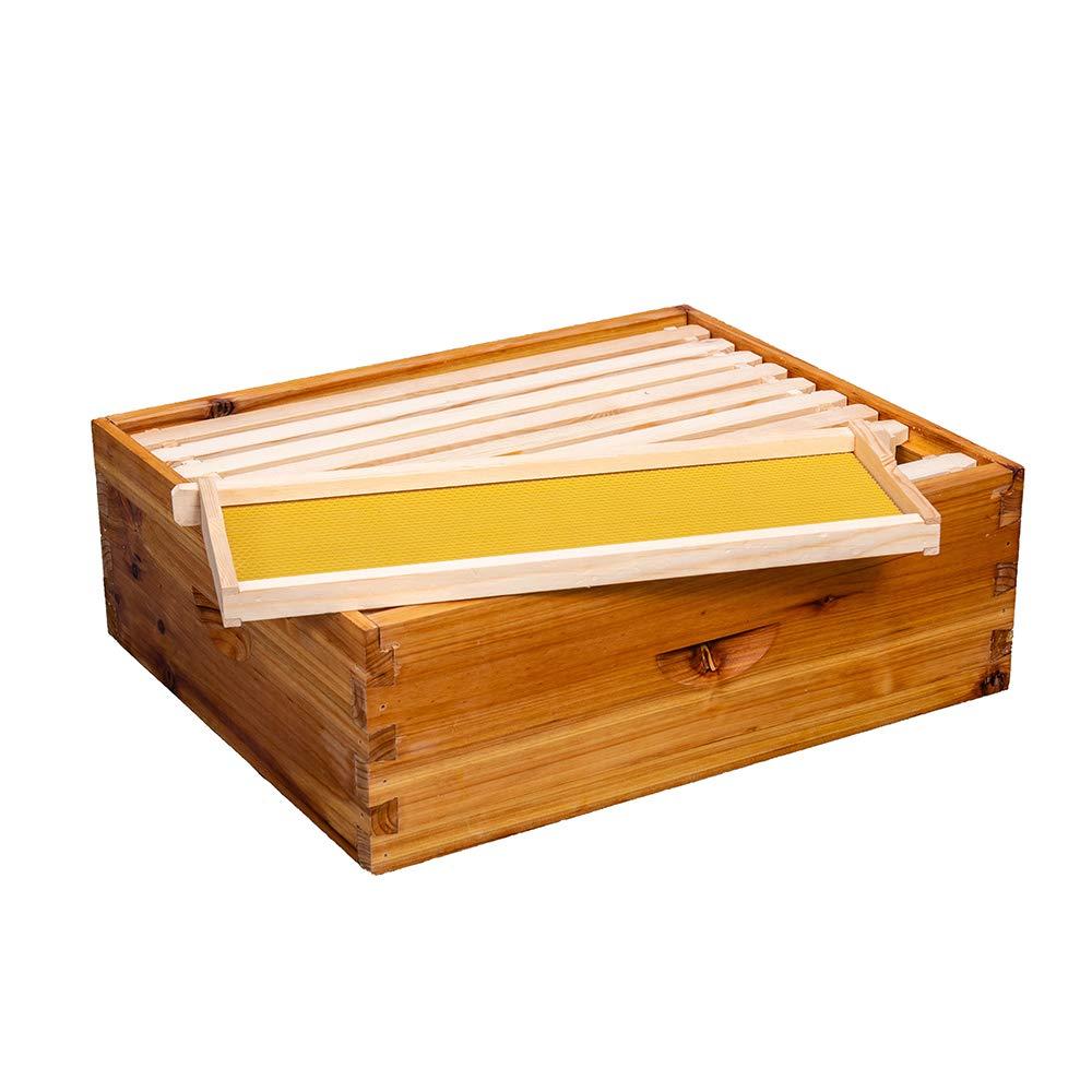 bee hive 10 frame bee hives and supplies starter kit, bee hive for beginner, honey bee hives includes 1 deep bee boxes, 1 bee hive super with beehive frames and foundation