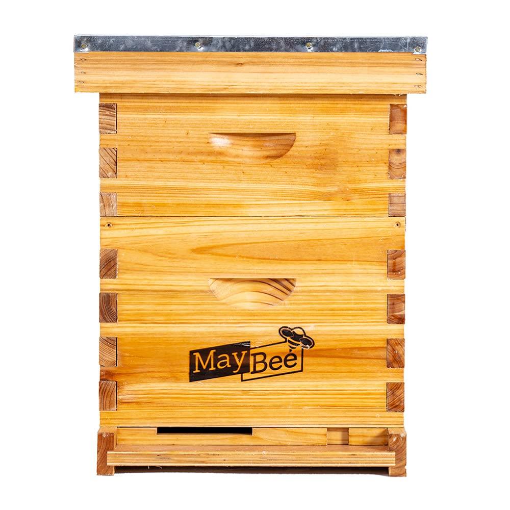 beehive 8 frame bee hives and supplies starter kit, bee hive for beginner, honey bee hives includes 1 deep bee boxes, 1 bee hive super with beehive frames and foundation