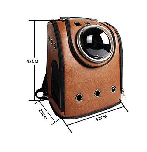 Vivi Bear Deluxe Pet Carriers Backpack Pet Travel Backpack for Small Pets