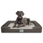 Sealy Lux Quad Layer Orthopedic Dog Bed with Cooling Gel