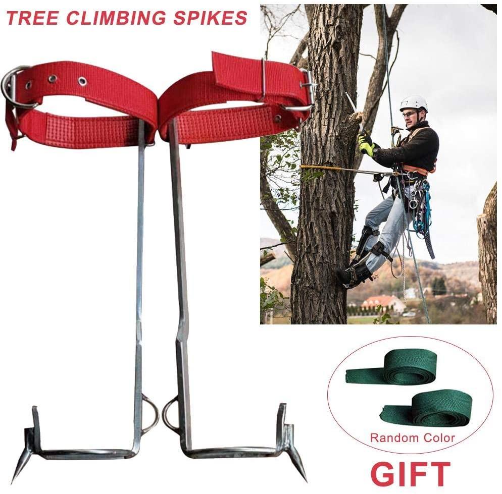 Fasteer Tree Climbing Spikes Shoes, A Pair of  Steel Tree Claw Adjustable Gear Climbing Tool for Climbing Trees, Picking, Cutting Trees, Load of About 100kg gorgeously Successful