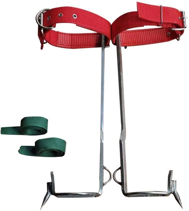 Fasteer Tree Climbing Spikes Shoes, A Pair of  Steel Tree Claw Adjustable Gear Climbing Tool for Climbing Trees, Picking, Cutting Trees, Load of About 100kg gorgeously Successful