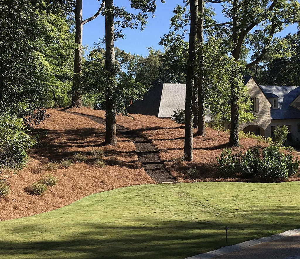 usa pine straw - pine needle mulch - premium long needle - covers 3200 sqft (1)