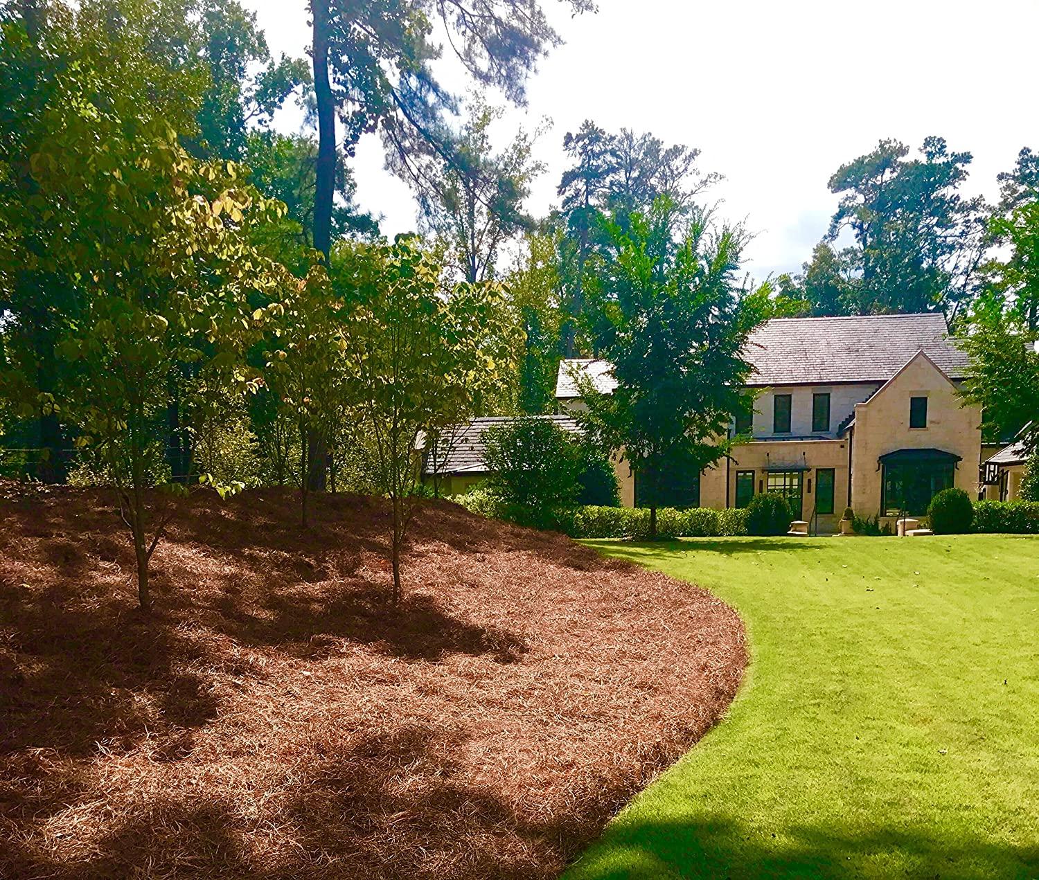 usa pine straw - pine needle mulch - premium long needle - covers 3200 sqft (1)
