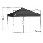 Weekender Elite 10 ft. x 10 ft. White Instant Canopy
