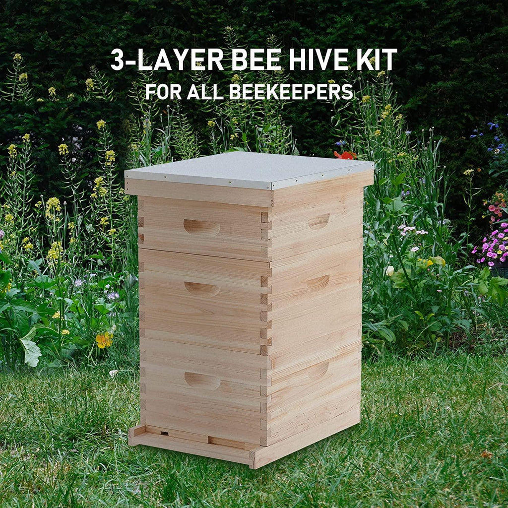 creworks bee hive with 10 medium &amp;20 deep honeycomb foundation frames, bee box for beekeeper starter, beekeeping supplies equipment tool, wood complete honey bee hives kit, 3 layer bees house box