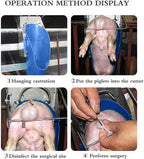stainless steel piglet spayer single operation inverted pig rack spayer livestock breeding equipment (19.9 x 7.9 x 7.9 inches (48 x 20 x 20 cm))