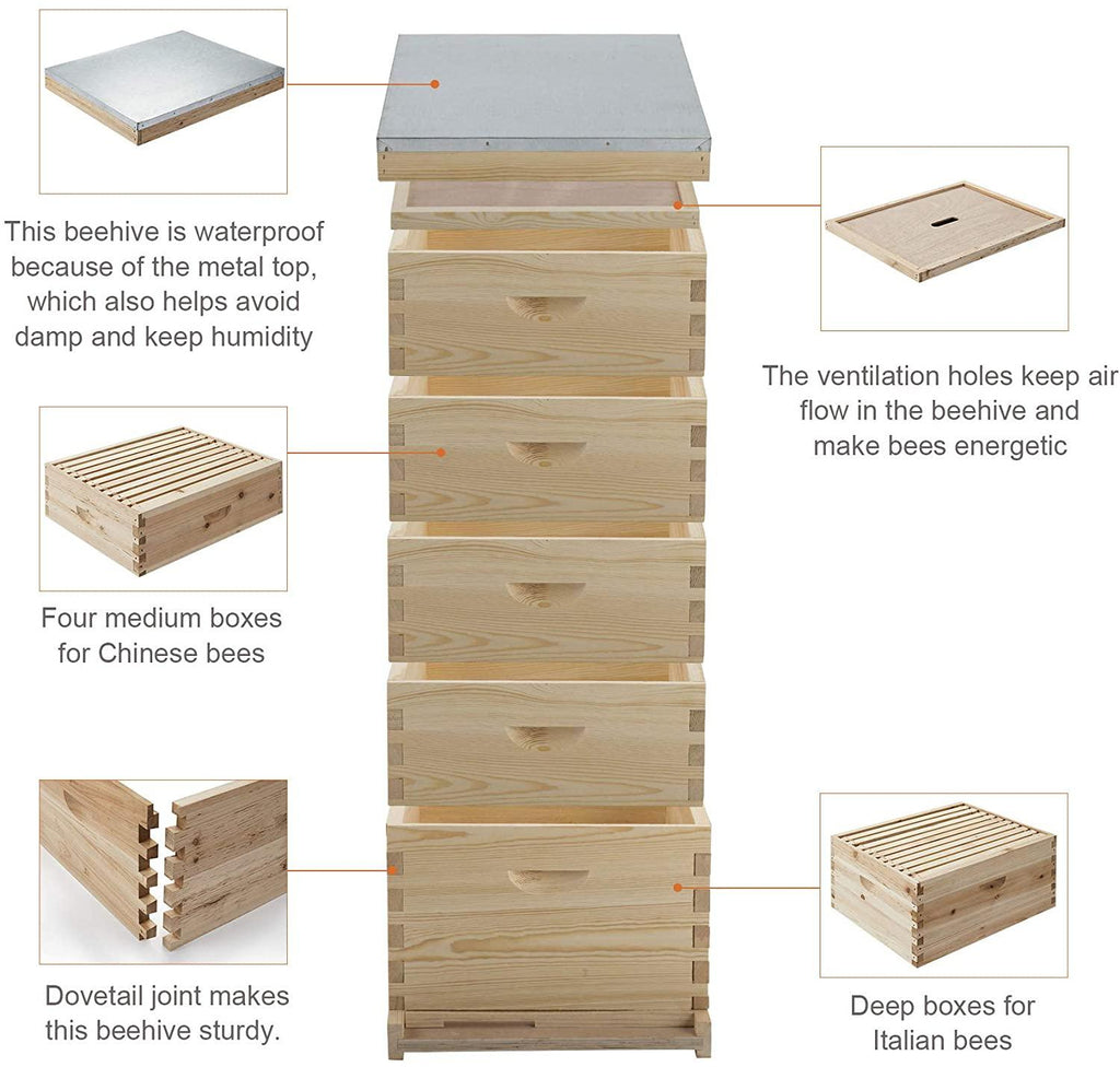 letra 5 layer bee hive for garden, bees house beekeeping box for beginner, beekeeping supplies equipment for beekeeper starter, solid wood honey bee hives kit (no frames)