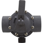 Jandy Diverter Valve, Jandy/Zod, 2"s/2-1/2"spg Pos Seal, 2 Way, Gray