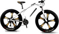 CHICAI Mountain Bike 26-inch Beach Snow Fat Bike Mountain Cross-Country Steel Ultra-Wide Tire Sports Bike Adult 21-30speed Low-Speed Racing Student Bike High-Carbon (Size : 24-Speed)