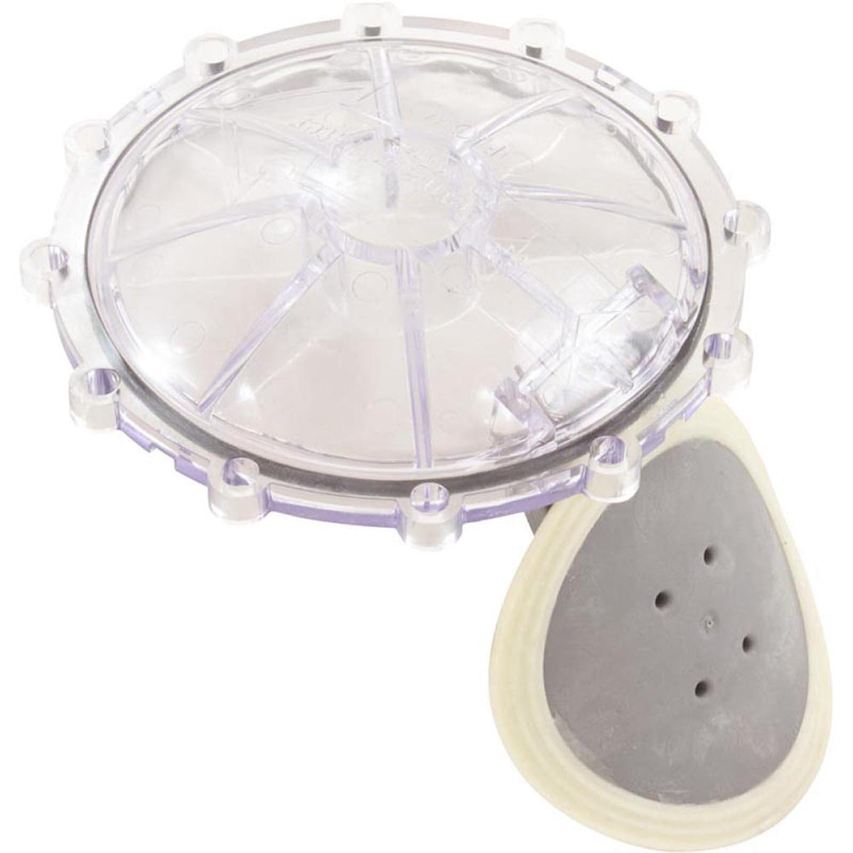 PENTAIR POOL PRODUCTS Flapper Check Valve Replacement