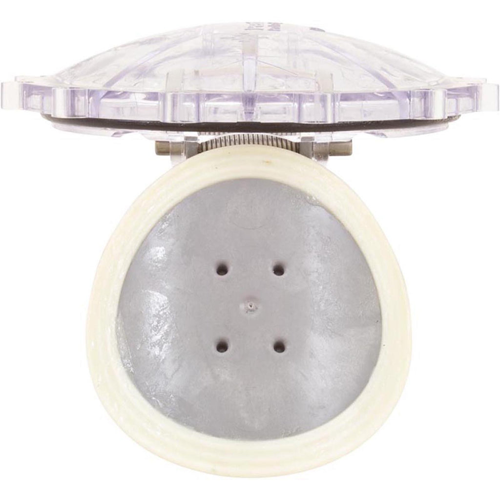 PENTAIR POOL PRODUCTS Flapper Check Valve Replacement