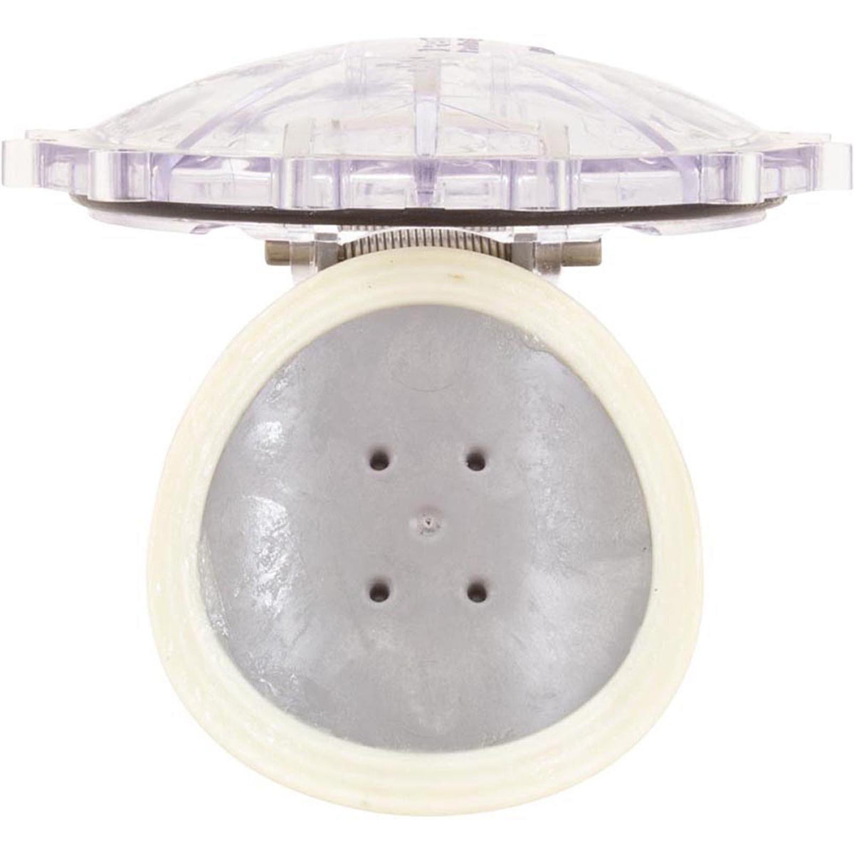 PENTAIR POOL PRODUCTS Flapper Check Valve Replacement