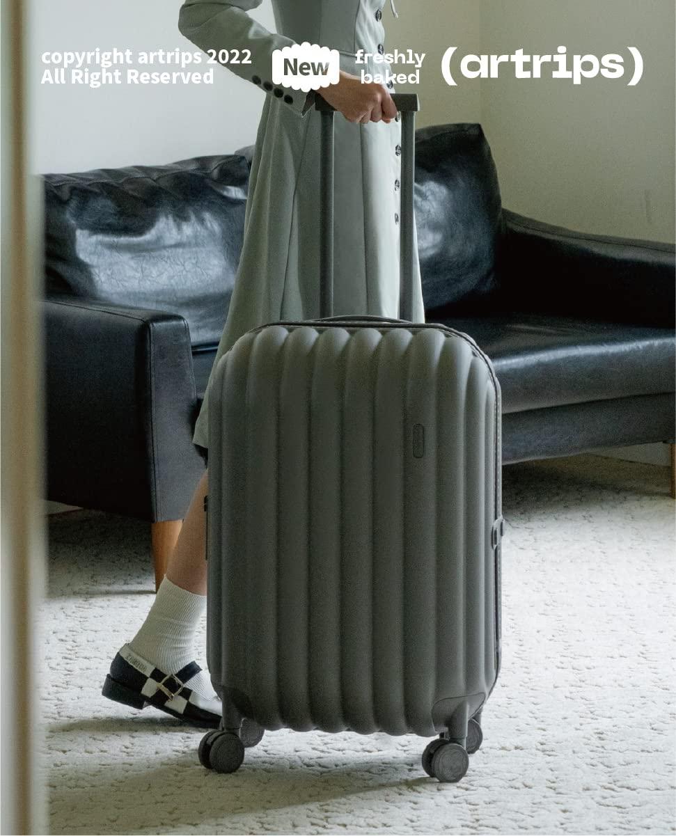 Hardside Lightweight Suitcase Luggage - Overhead Durable Travel Bag with Spinner Wheels,TSA Lock, Grey, Checked-Medium 24-Inch, 60L