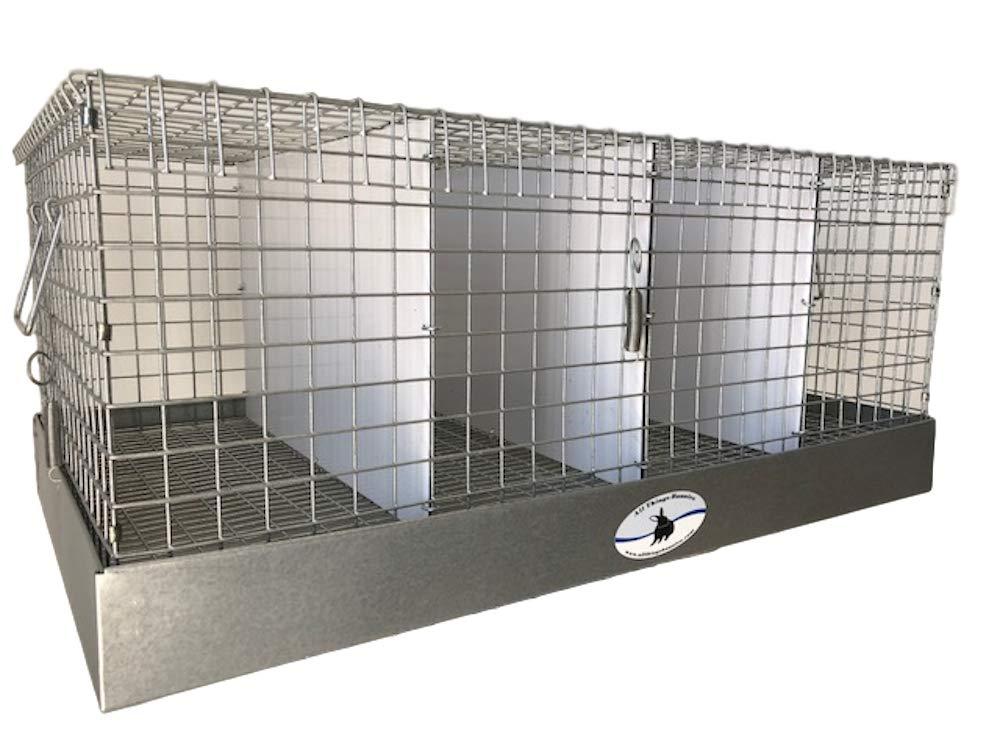 All Things Bunnies Rabbit Carrier/Transport Ca- 4 Hole