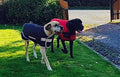 Danarmor Pet Supplies Great Dane Triple Layered Winter Dog Coat - Waterproof, Lined, Insulated