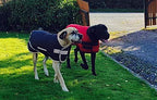 Danarmor Pet Supplies Great Dane Triple Layered Winter Dog Coat - Waterproof, Lined, Insulated