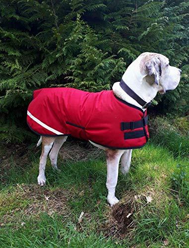 Danarmor Pet Supplies Great Dane Triple Layered Winter Dog Coat - Waterproof, Lined, Insulated