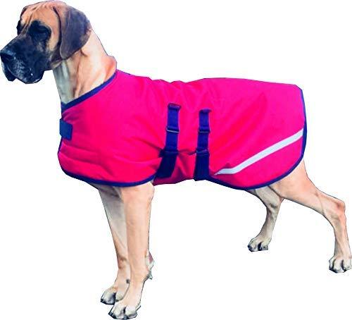 Danarmor Pet Supplies Great Dane Triple Layered Winter Dog Coat - Waterproof, Lined, Insulated