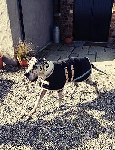 Danarmor Pet Supplies Great Dane Triple Layered Winter Dog Coat - Waterproof, Lined, Insulated