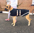 Danarmor Pet Supplies Great Dane Triple Layered Winter Dog Coat - Waterproof, Lined, Insulated