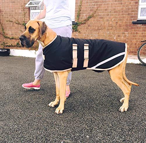 Danarmor Pet Supplies Great Dane Triple Layered Winter Dog Coat - Waterproof, Lined, Insulated
