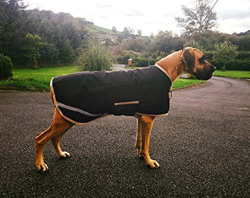 Danarmor Pet Supplies Great Dane Triple Layered Winter Dog Coat - Waterproof, Lined, Insulated