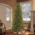 9 ft. pre-lit incandescent slim fraser fir artificial christmas tree with 8