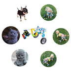 Gift2U Adjustable Dog Wheelchair,Hind Legs Rehabilitation 2 Wheels Dog Cart,7 Sizes (0-66lbs)