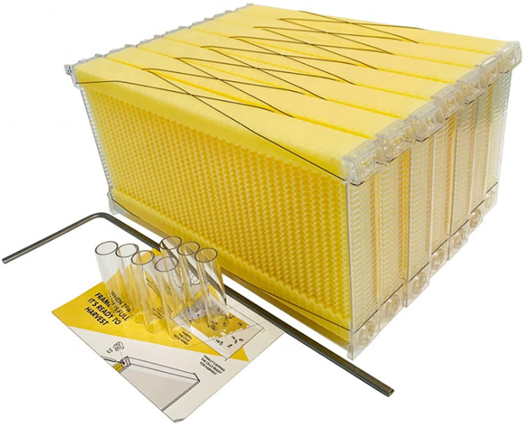 wooden beehive box with 7pcs auto honey frames comb beekeeping honey keeper for beekeepers starter kit tool,7 beehives