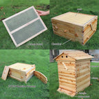 wooden beehive box with 7pcs auto honey frames comb beekeeping honey keeper for beekeepers starter kit tool,7 beehives