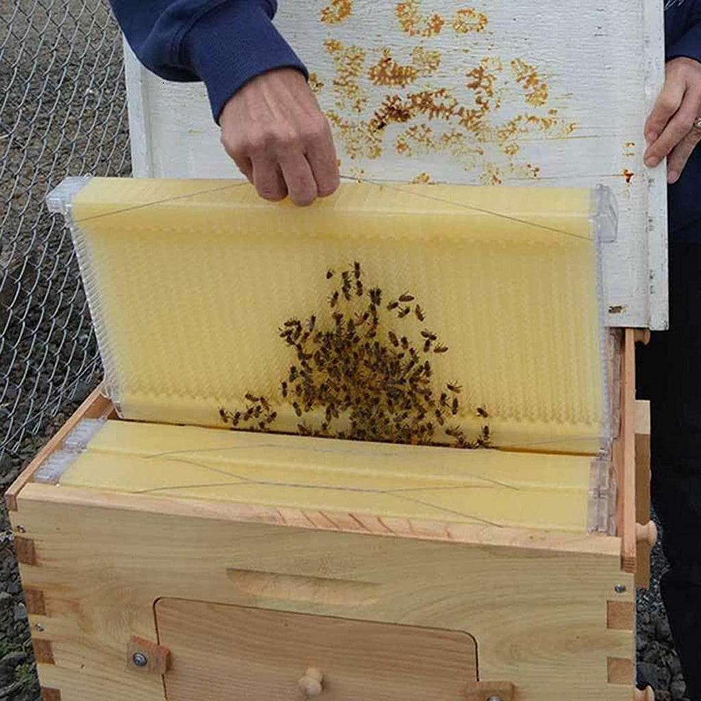fumeng wooden bee hive house kit auto honey beekeeping beehive brood box house auto flow beehive frame comb,beehive