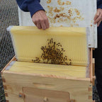 fumeng wooden bee hive house kit auto honey beekeeping beehive brood box house auto flow beehive frame comb,beehive