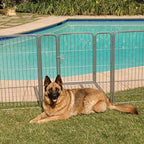 PRECISION PET Courtyard Kennel Exercise Pen
