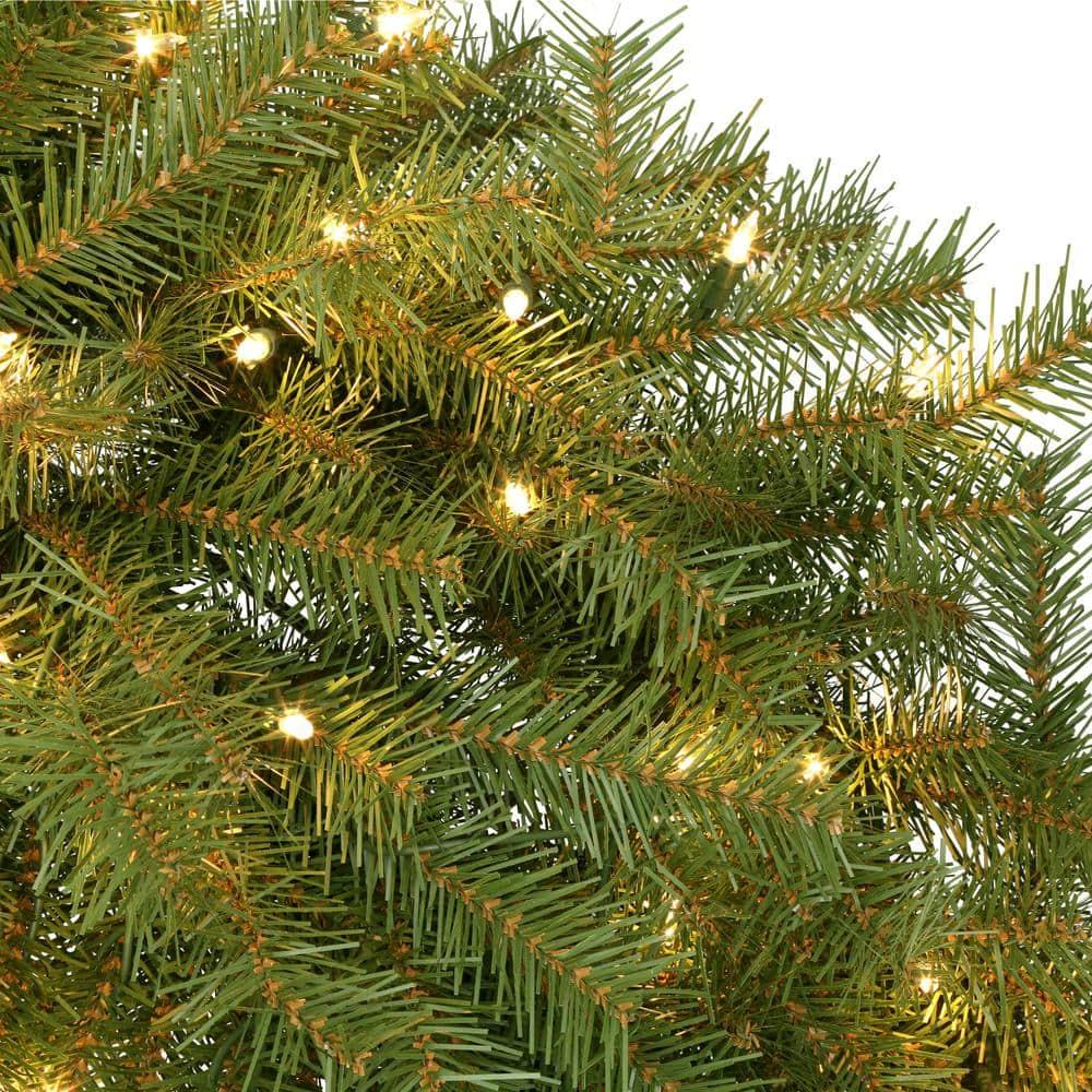 60 in Prelit Norwood Fir Wreath