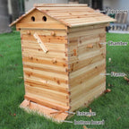 jsjfkerjhg auto flow beehive, wooden beekeeping house beehive boxes, with visual observation window, practical and durable, beekeeper tools