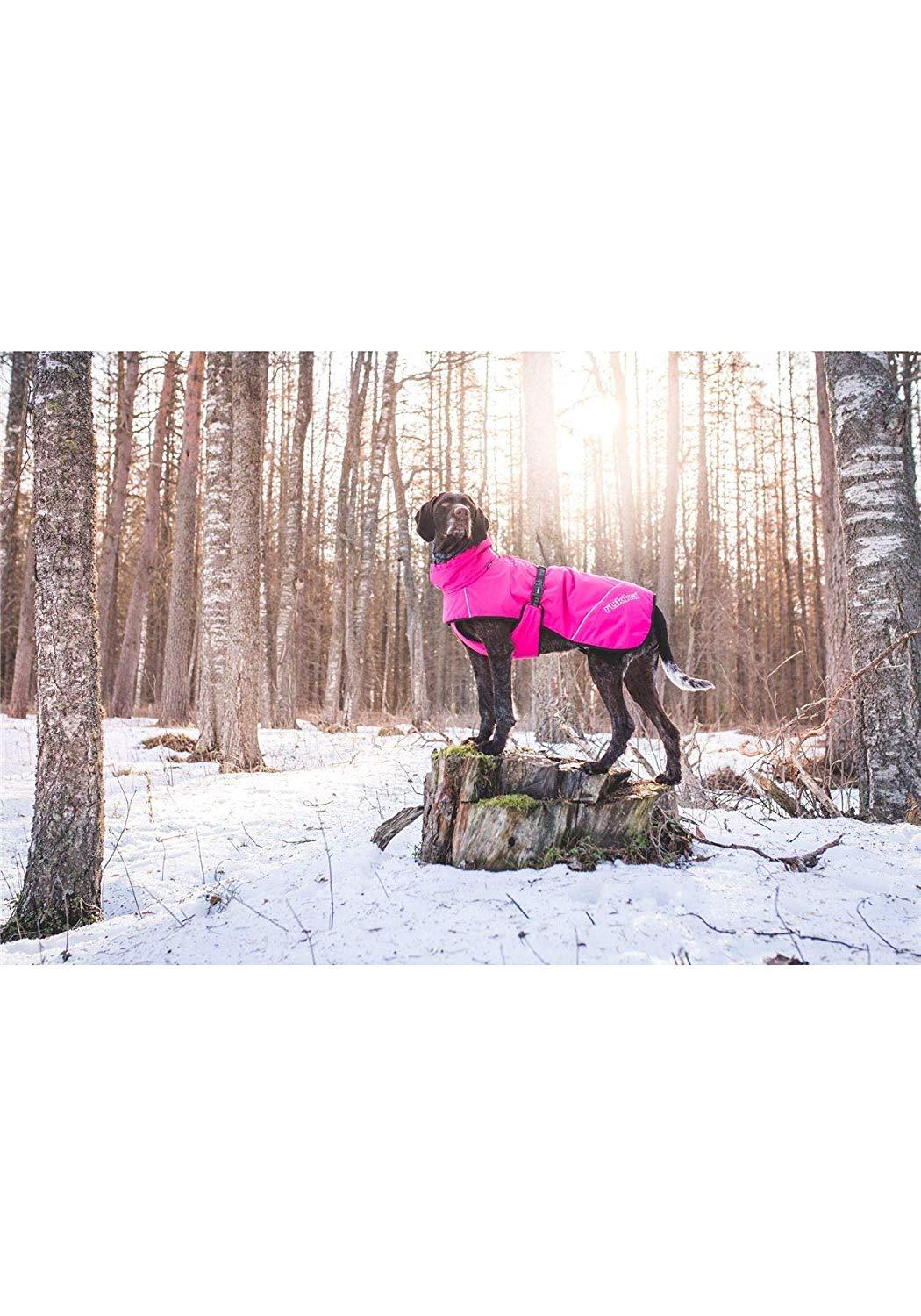Rukka Pets Warmup Outdoor Windproof Thermal Adventure Dog Jacket Hot Pink