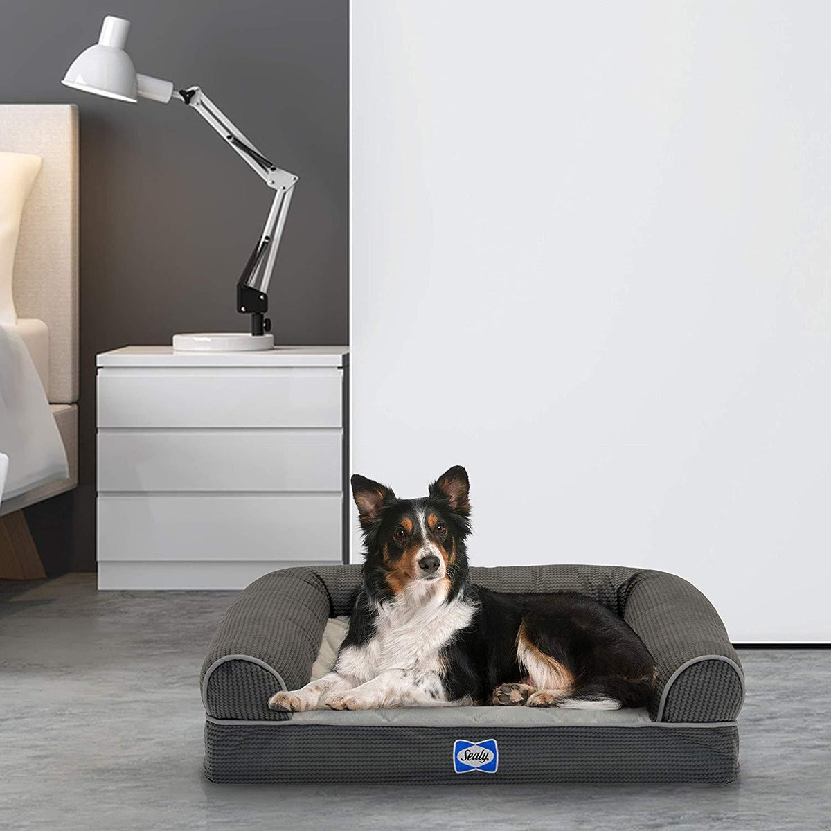 Sealy Premium Ultra Plush Orthopedic Sofa-Style Couch Bolster Dog Bed
