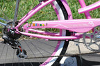 26" Rover 7 Speed  TX-35  Steel Spokes Pink Rims Front and Back Fenders V-Brakes Micargi Women Girl Style Beach Cruiser Bicycle