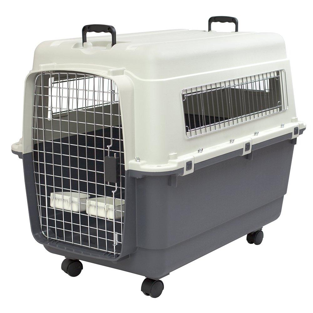 SportPet s Plastic Kennels Rolling Plastic Wire Door Travel Dog Crate