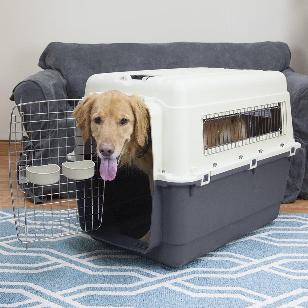 SportPet s Plastic Kennels Rolling Plastic Wire Door Travel Dog Crate