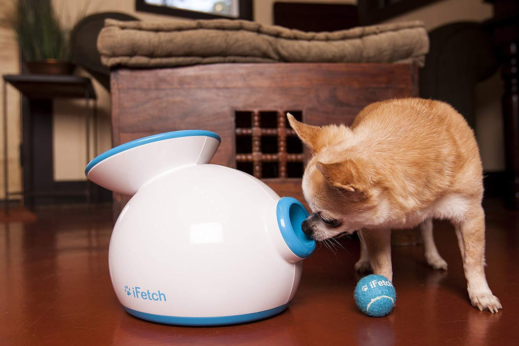 iFetch Automatic catch ball machine for dogs