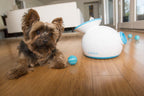 iFetch Automatic catch ball machine for dogs