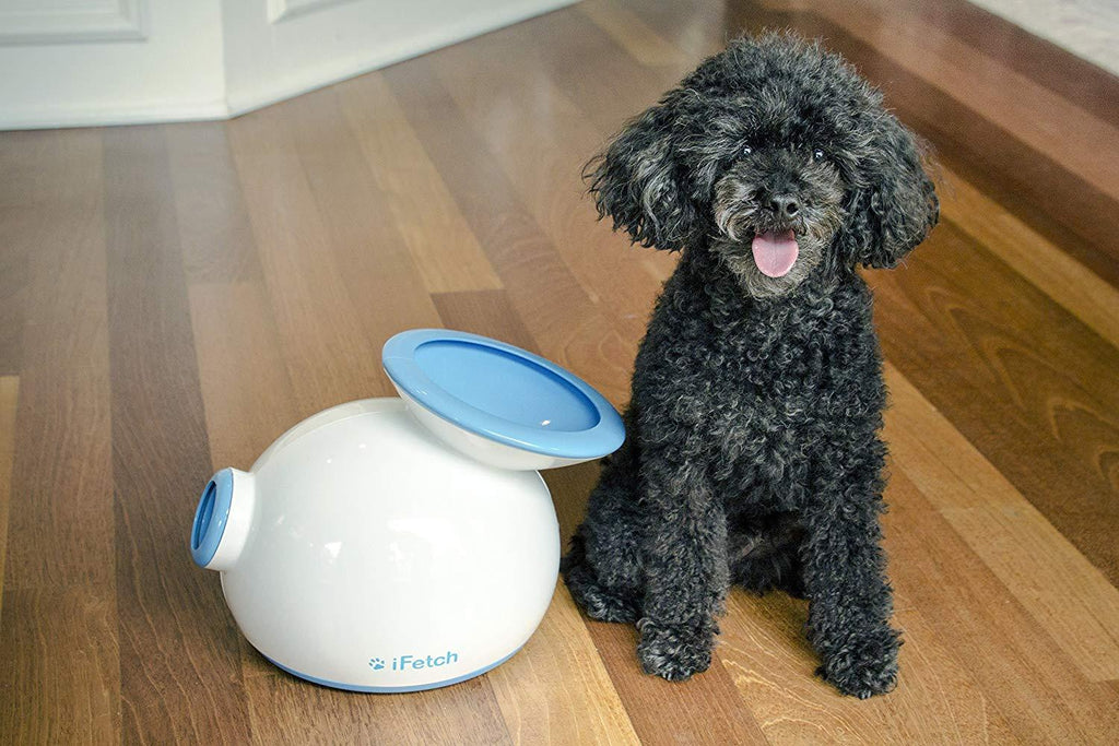 iFetch Automatic catch ball machine for dogs